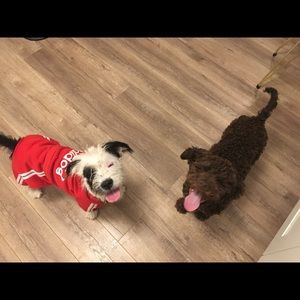 Meet your Posher, Deb